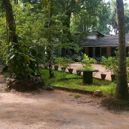 Sisila Guest House Anuradhapura Exterior photo