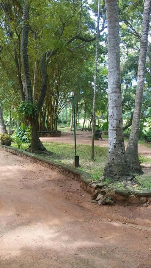 Sisila Guest House Anuradhapura Exterior photo